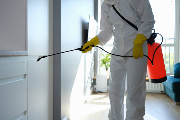 Frederick, MD Mold Inspection, Removal & Remediation Company